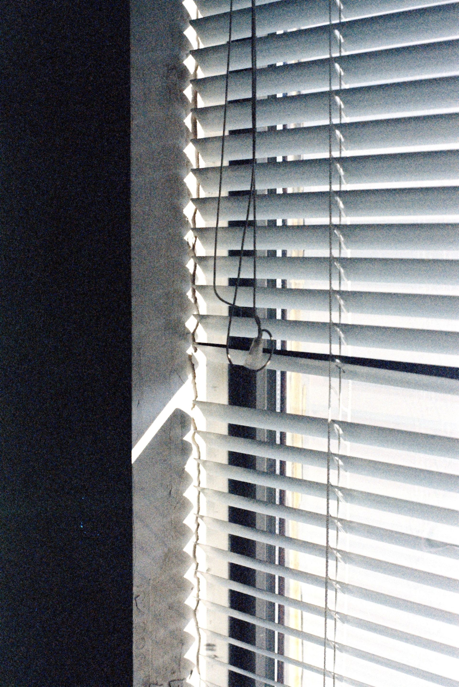 Soft sunlight filters through window blinds, creating a pattern of light and shadow.